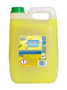 Універсальна миюча рідина diskPax active, 5 L 00000001631 фото