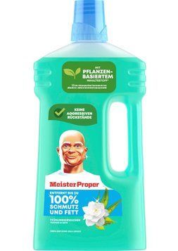 Засіб для миття підлоги Meister Proper, Універсальний, Весняне пробудження, 1 L 00000001742 фото